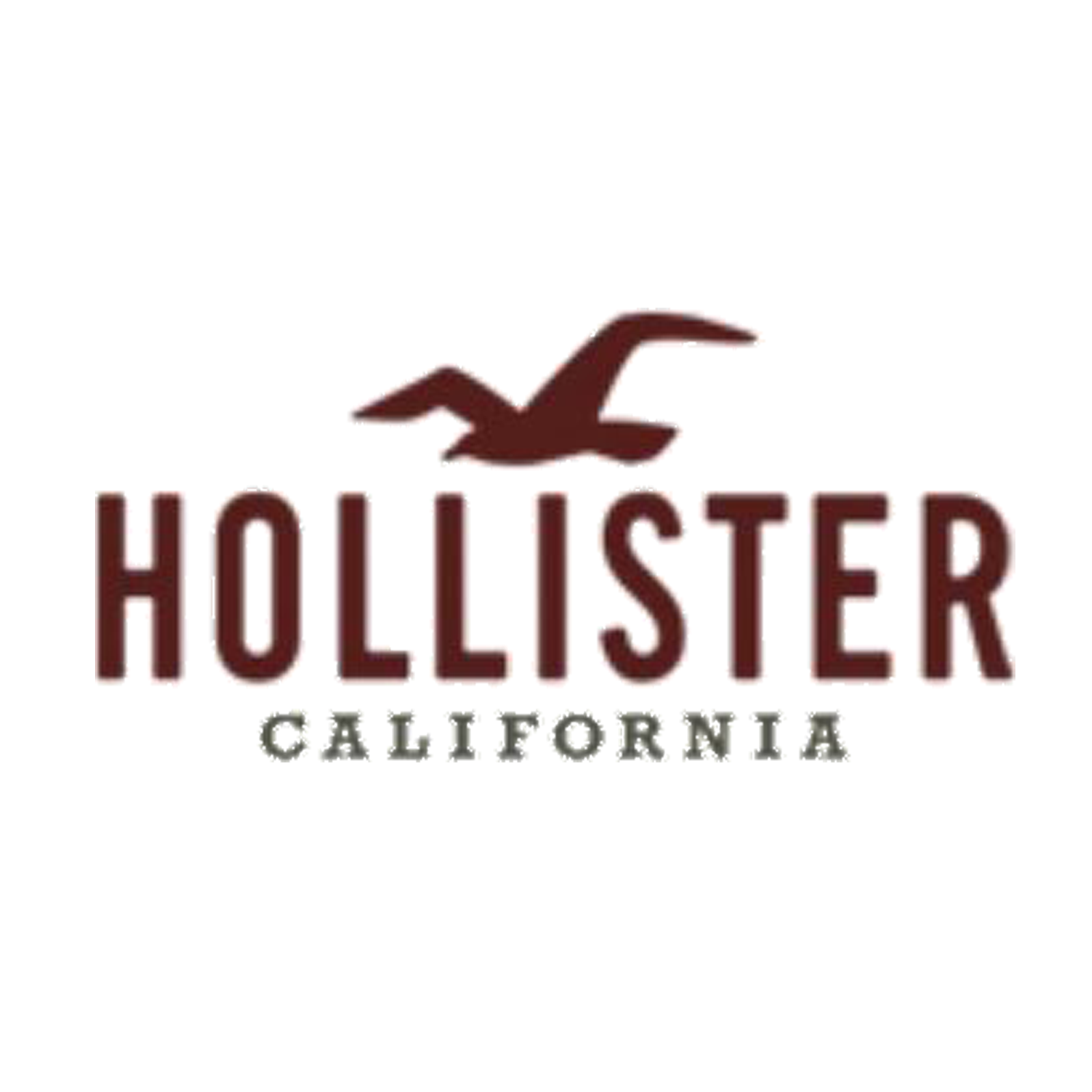 Hollister Co. coupons