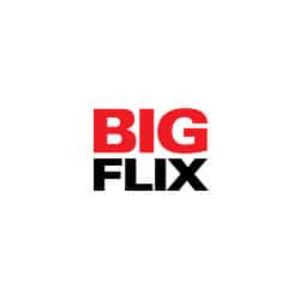 BIGFlix coupons