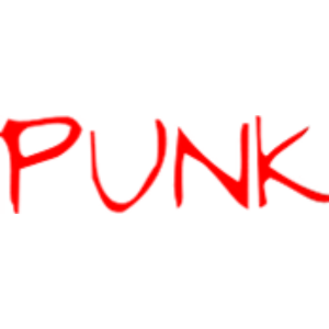 Punk India coupons